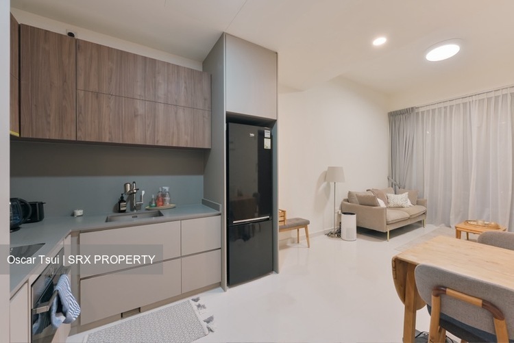 Parksuites (D10), Apartment #497709161